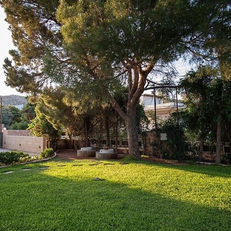 Sounio Panoramic Loft Apartment Sounion Exterior foto